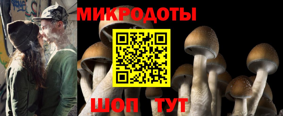 Сочи  Псилоцибиновые грибы Psilocybe  Псилоцибиновые грибы мицелий  Вход с VPN 